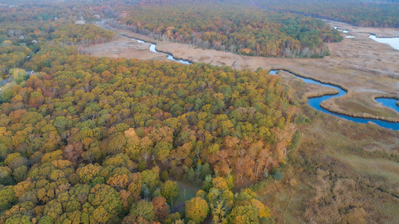 Carmans River 11-4-21-3