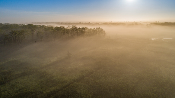 Carmans River Fog 6-7-21-1