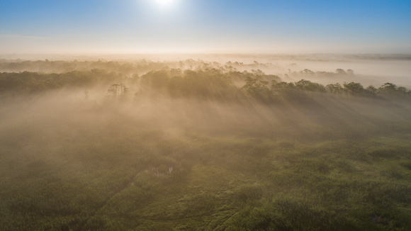 Carmans River Fog 6-7-21-10