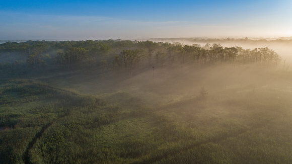 Carmans River Fog 6-7-21-2