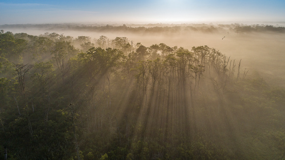 Carmans River Fog 6-7-21-3