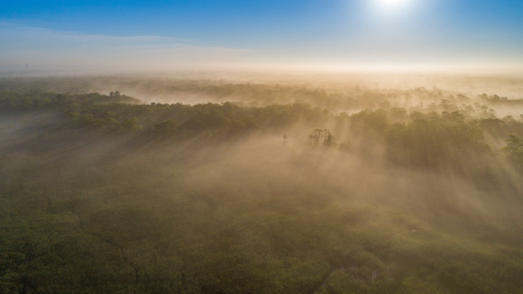 Carmans River Fog 6-7-21-8